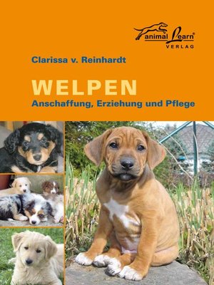 cover image of Welpen